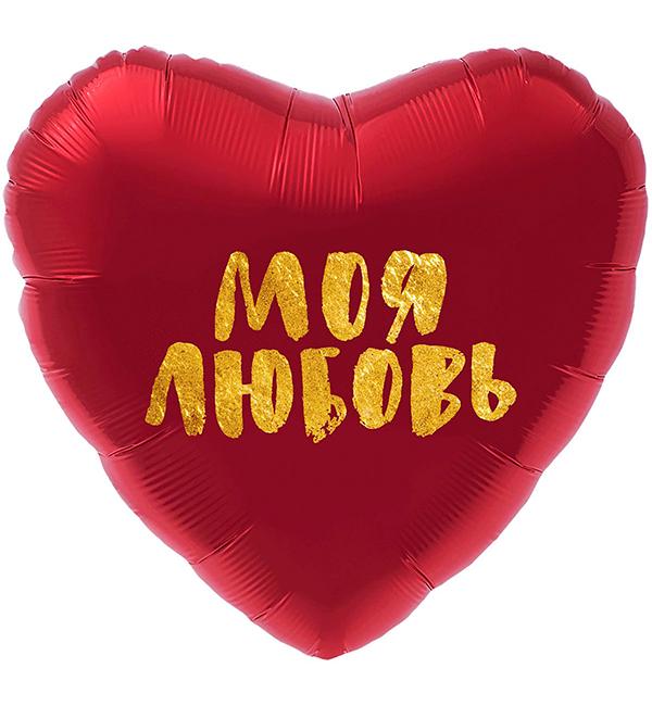 Воздушные шары Моя любовь 45 см (30636) Воздушные шары Моя любовь 45 см (30636)