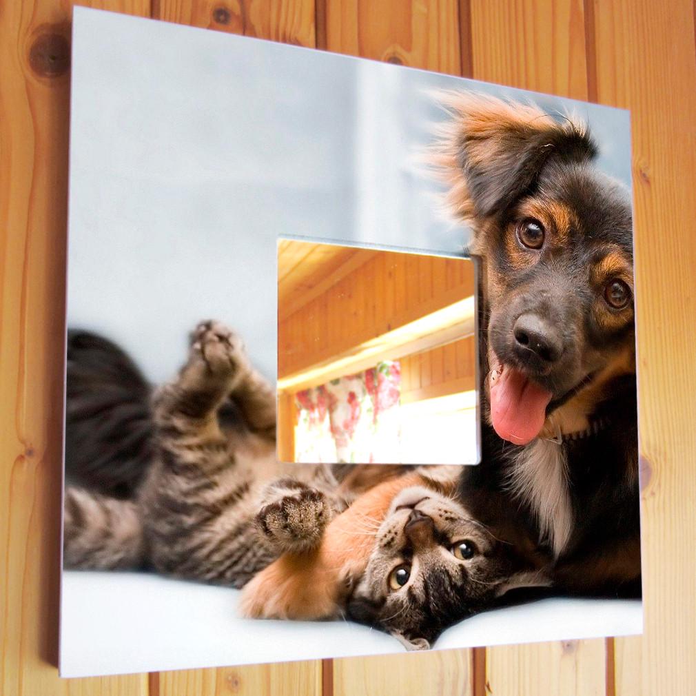 Зеркало декоративное Собака и кот друзья 260х260 мм (M03687)