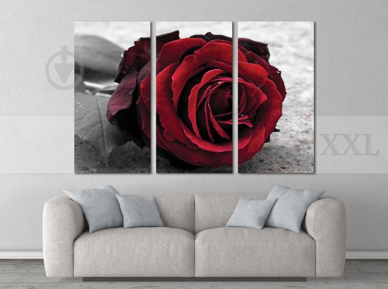 Модульна картина Poster-land Квітка Троянда Art-32_XXL