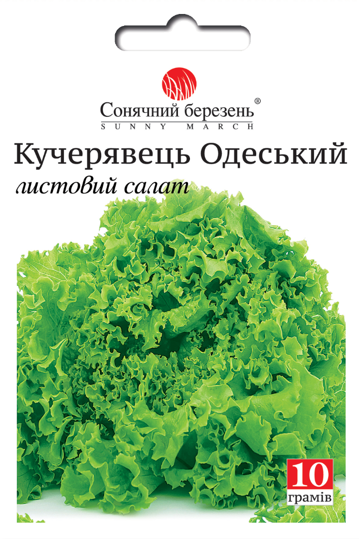 Насіння салату Кучерявець одеський 10 гр. (8755)