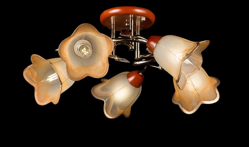 Люстра с плафонами Ray L90121F/5 FGD (IR005920)