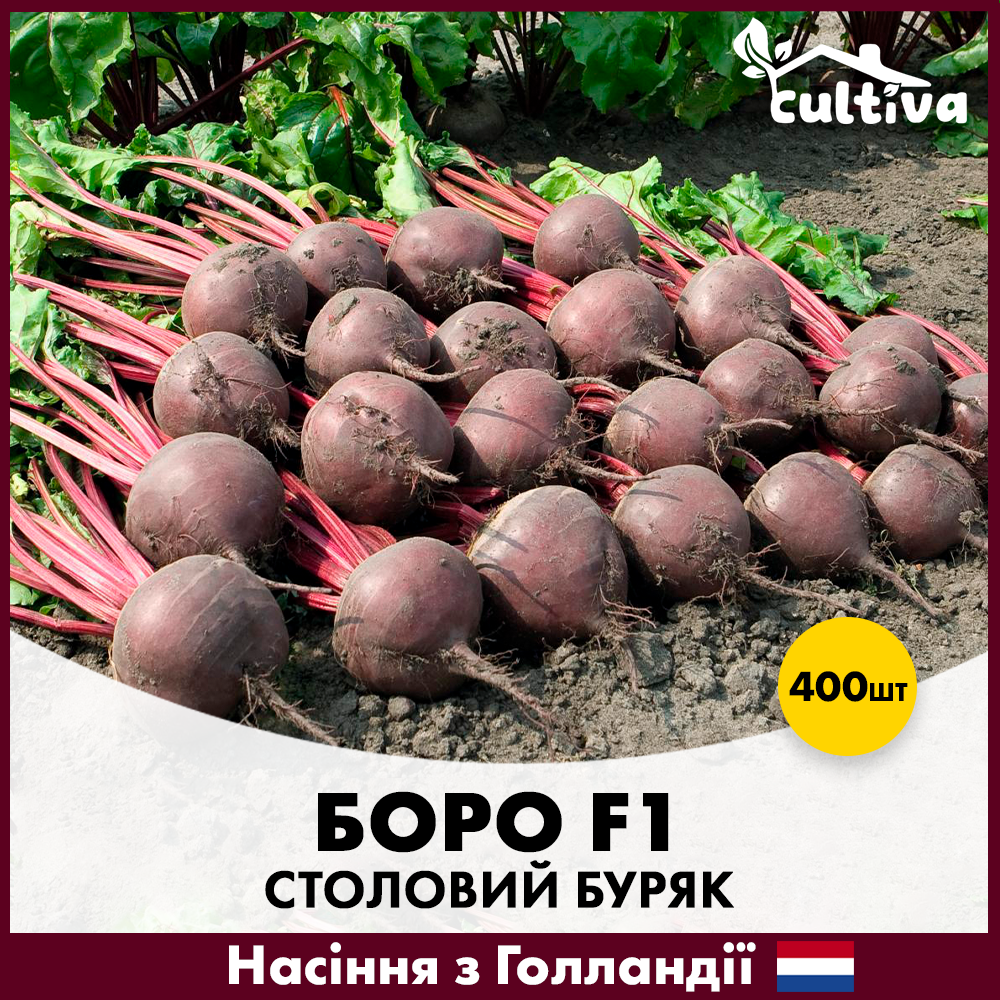 Семена свеклы Bejo Столовый Боро F1 400 шт. (R50229)