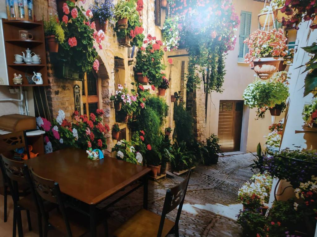 Фотообои флизелиновые 3D 368х254 см Consalnet Улица в цветах (1339V8) - фото 4 Фотообои флизелиновые 3D 368х254 см Consalnet Улица в цветах (1339V8) - фото 4