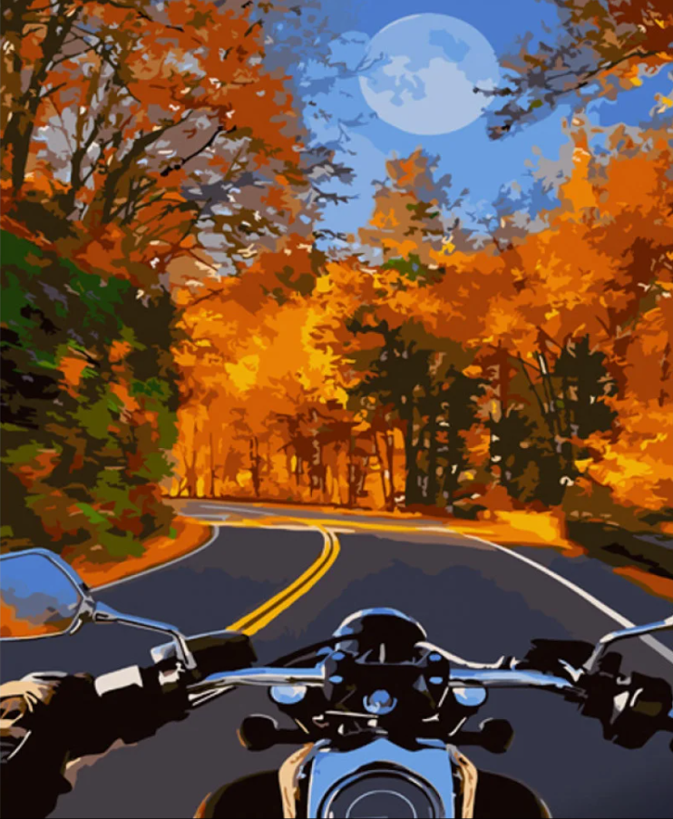 Картина по номерам Strateg На мотоцикле осенью 40х50 см (GS1041)