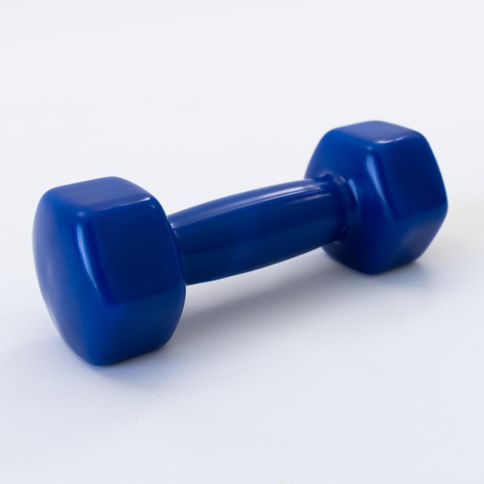 Гантель для фитнеса OSPORT Profi 3 кг FI-0105-3 Синий