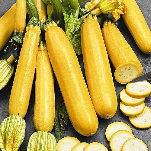 Семена Кабачок Florium Золотинка пакет гігант (12214)