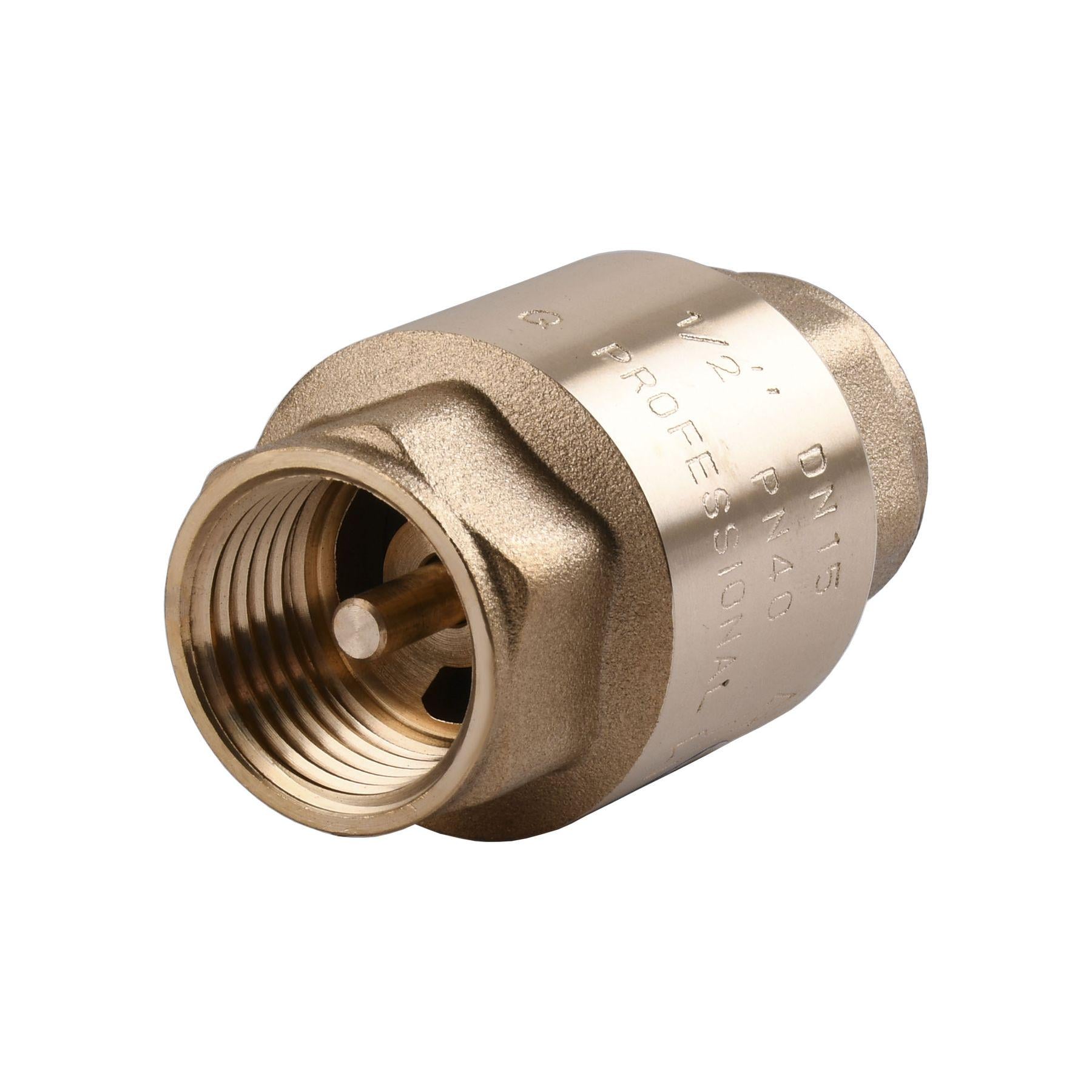 Клапан зворотного ходу води Q Professional 1″ QP100 (000014113)