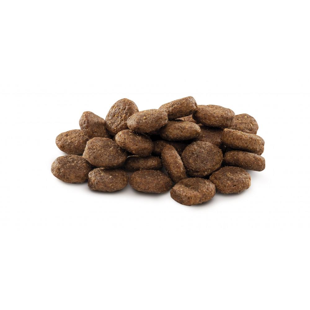 Корм сухий для цуценят та молодих собак великих порід Brit Premium Junior L 15 кг (170824/6437) - фото 2 Корм сухий для цуценят та молодих собак великих порід Brit Premium Junior L 15 кг (170824/6437) - фото 2