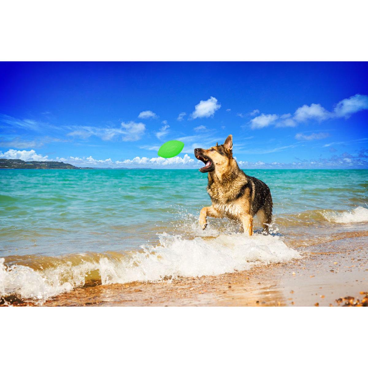 Ігровий м'яч для апортировки PitchDog D 9 см Салатовий (25881227) - фото 4 Ігровий м'яч для апортировки PitchDog D 9 см Салатовий (25881227) - фото 4