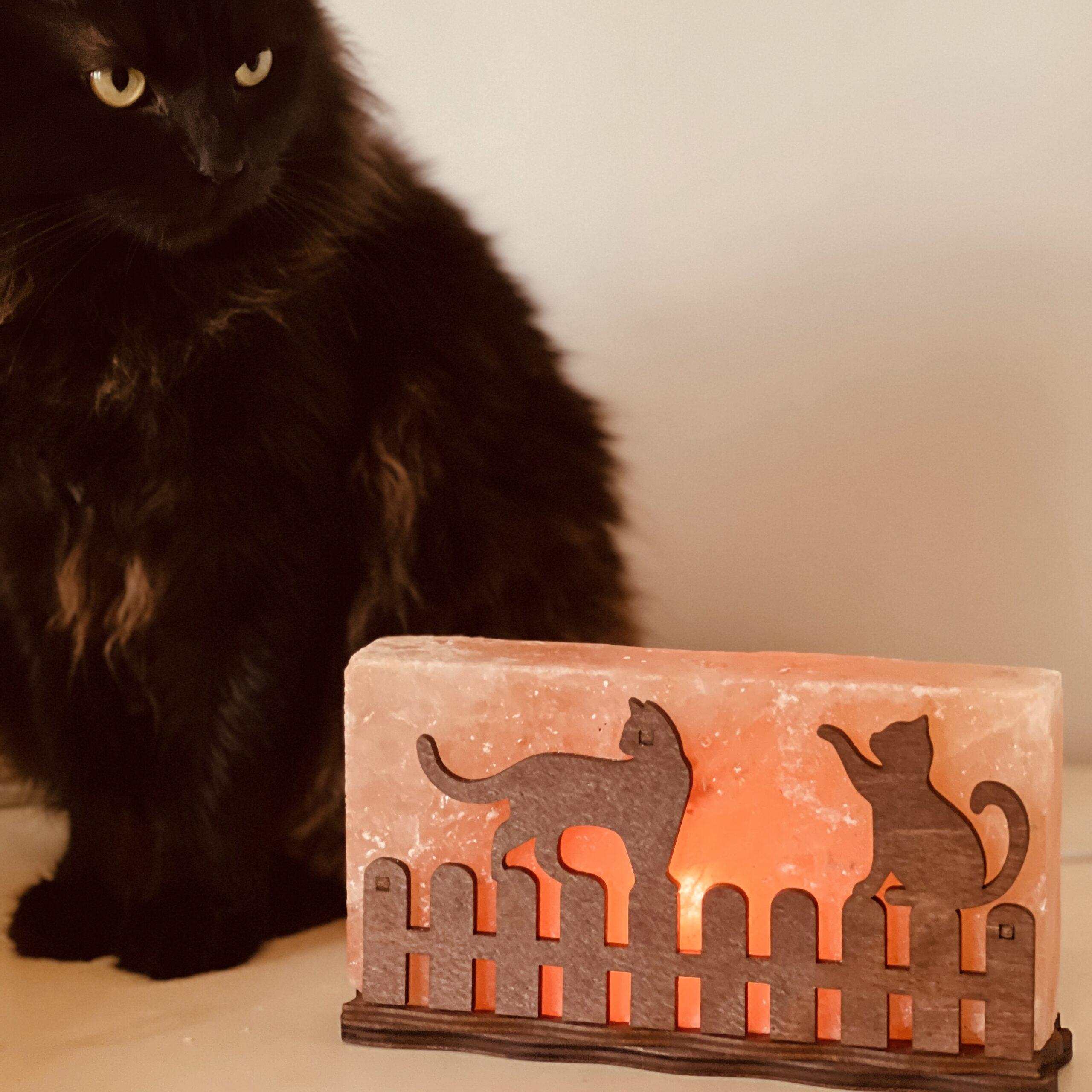 Соляна лампа декоративна Himalayan Коти на паркані 1 кг (29909030) - фото 9