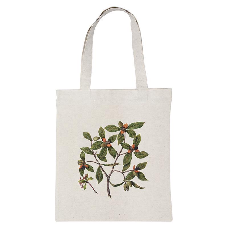 Экосумка-шопер Таухирикаро (LF2601)