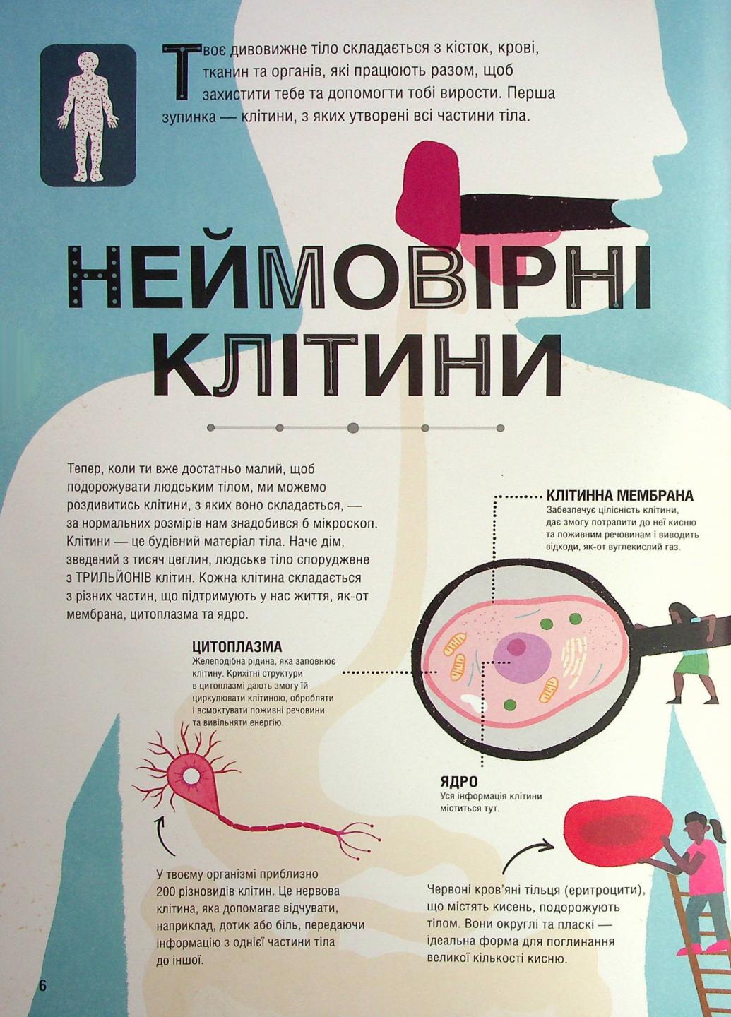 Книга "Неймовірна пригода бути людиною Твоє надзвичайне тіло та як у ньому жити" Н902075У (9786170970756) - фото 2