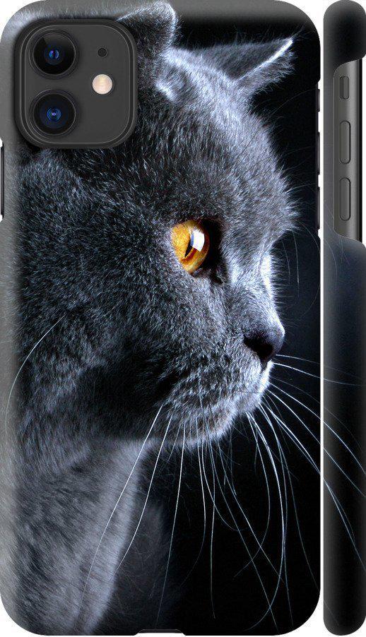 Чехол на iPhone 11 Красивый кот (3038c-1722-42517)