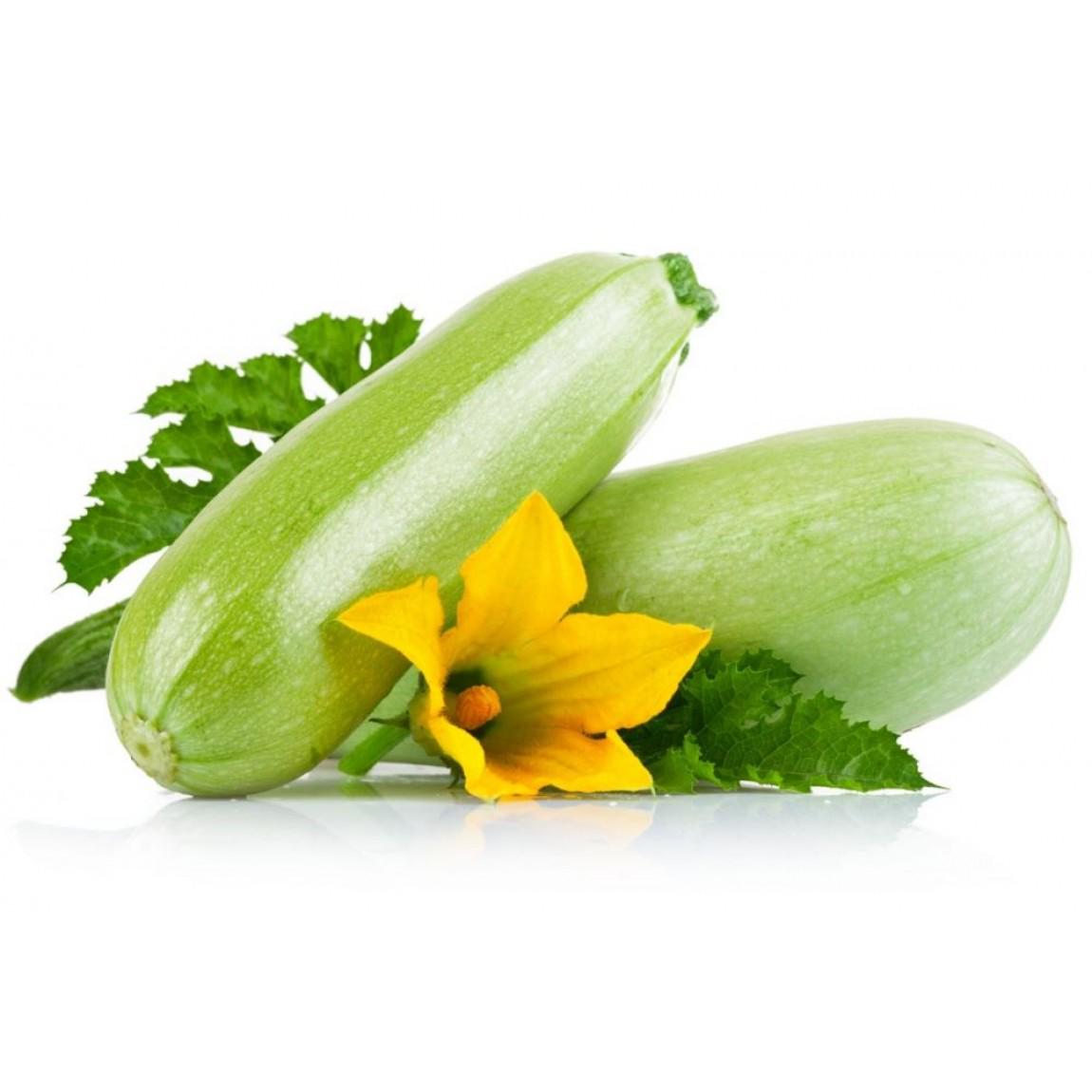 Насіння Кабачок Аделія F1 ТД Гекса-Україна 01-05-072 500 шт. (IR01237)