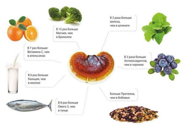 Капсулы гриб рейши LR Reishi Plus 30 дн. 30 шт. - фото 4 Капсулы гриб рейши LR Reishi Plus 30 дн. 30 шт. - фото 4