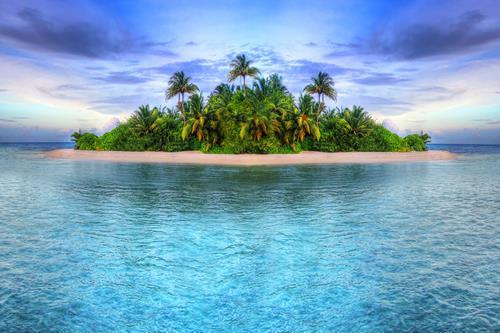 Картина на холсте Природа 55х85 см (PR216L)