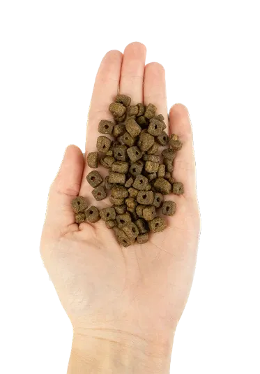 Корм сухий Lenda Mini Hypoalergenic SKIN&COAT Grain Free беззерновий для собак дрібних порід 2 кг (24064721) - фото 2 Корм сухий Lenda Mini Hypoalergenic SKIN&COAT Grain Free беззерновий для собак дрібних порід 2 кг (24064721) - фото 2