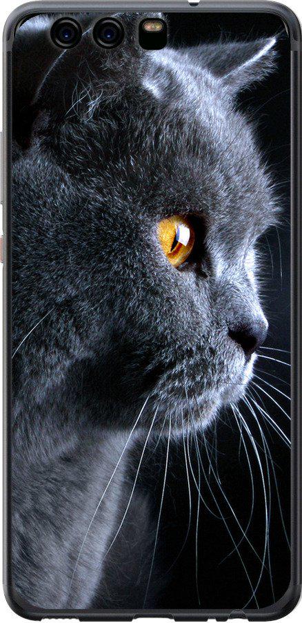 Чехол на Huawei P10 Красивый кот (3038u-780-42517)
