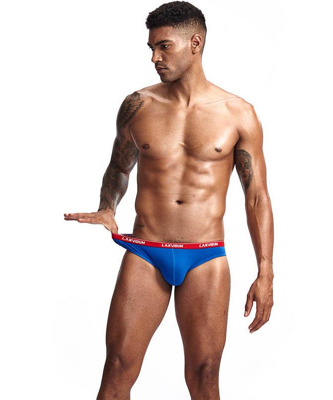 Трусы Lanvibum L Синий (5517)