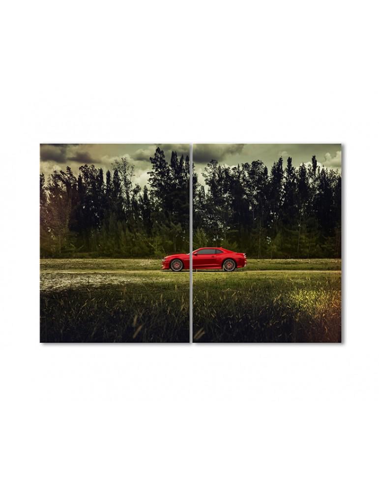 Картина модульная Спортивная машина в поле 2 модуля 50x75 см