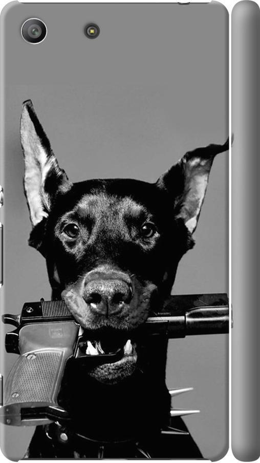 Чехол на Sony Xperia M5 E5633 Доберман (2745c-217-42517) Чехол на Sony Xperia M5 E5633 Доберман (2745c-217-42517)