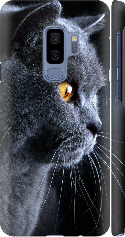 Чехол на Samsung Galaxy S9 Plus Красивый кот (3038c-1365-42517)