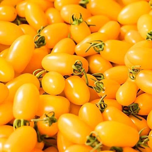 Семена Томат Florium Золотий Потік (14096)