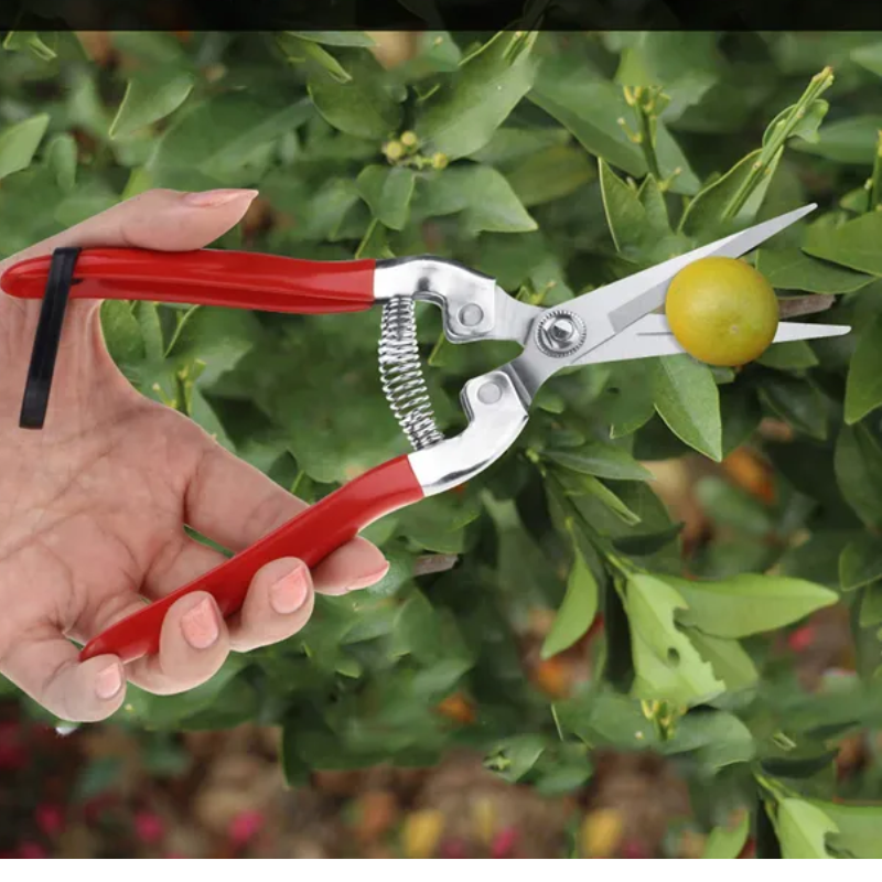 Секатор HAONONGFU з гострими хромовими лезами (2552482219) - фото 8 Секатор HAONONGFU з гострими хромовими лезами (2552482219) - фото 8