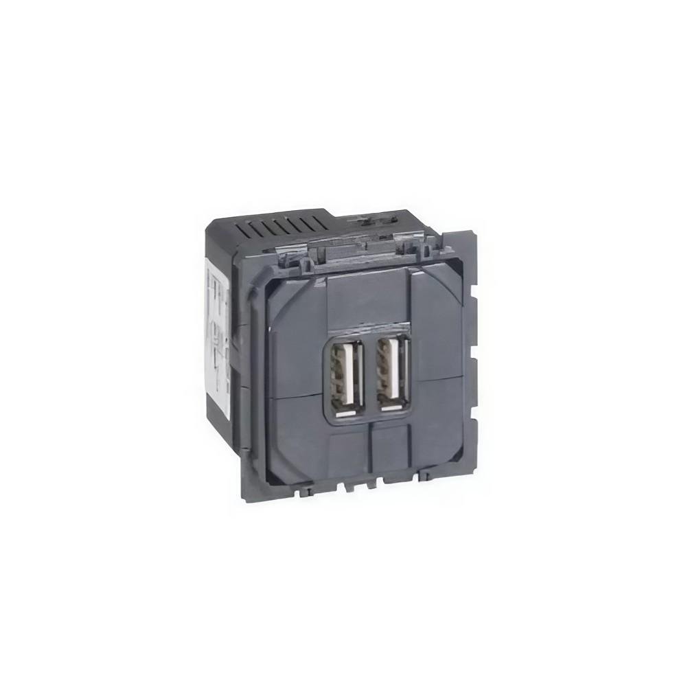 Розетка для зарядки USB подвійна Legrand Valena ALLURE Чорний (067462)