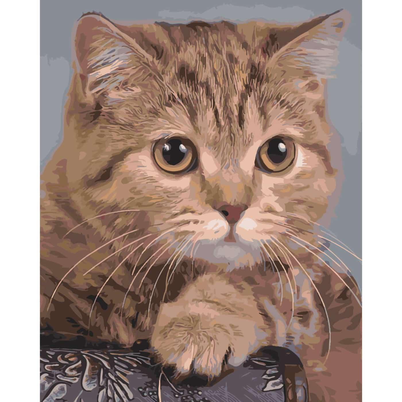 Картина по номерам Strateg Сосредоточенный взгляд 40х50 см (SY6490)