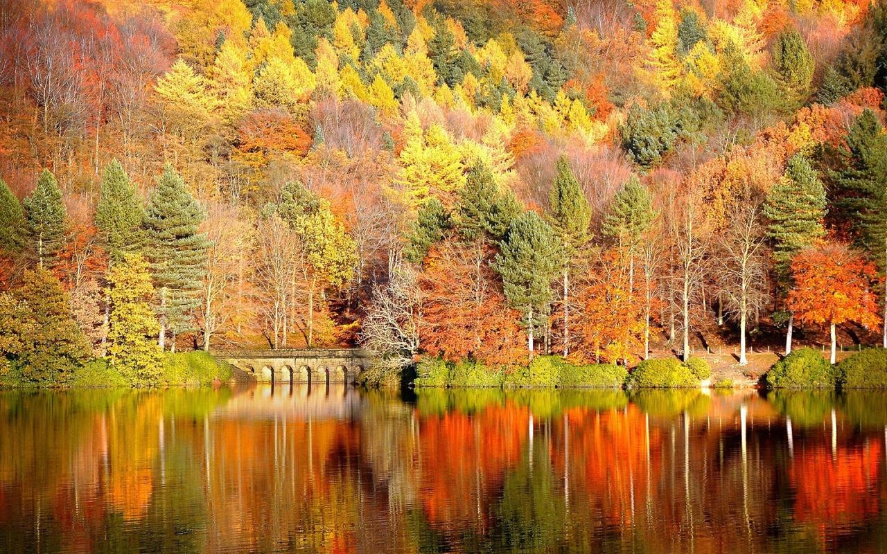 Картина на холсте Природа 55х85 см (PR092L)