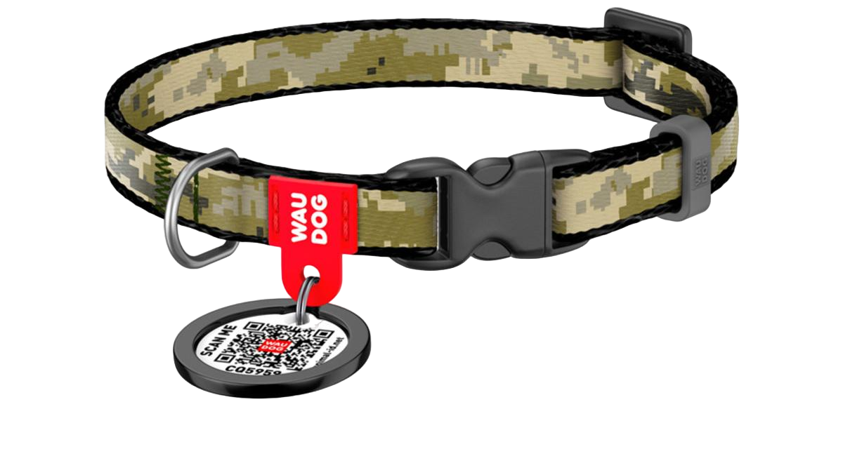 Нашийник для котів і малих собак 10 мм 20-30 см