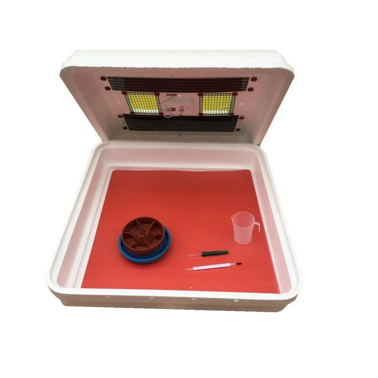 Брудер Рябушка для курчат з терморегулятором (4453)