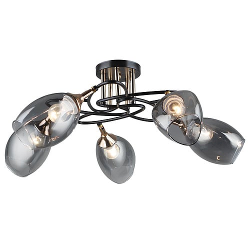 Люстра Svet на пять стеклянных поворотных плафонов под лампу Е27 (SR-N5032/5 COFFEE+FGD)