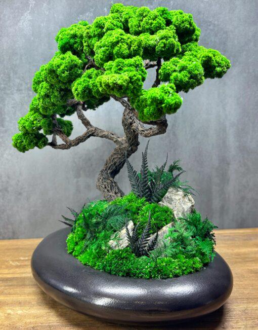 Бонсай зі стабілізованими рослинами Дерево на чорних скелях 25х30 см