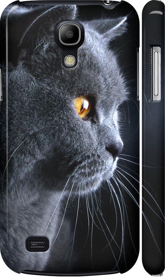 Чехол на Samsung Galaxy S4 mini Duos GT i9192 Красивый кот (3038m-63-42517)