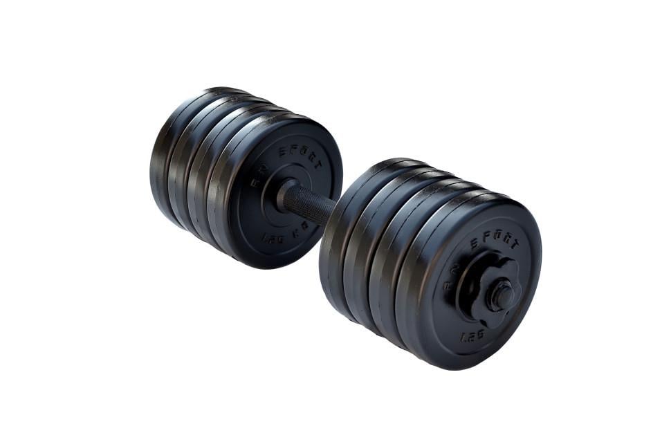 Гантель разборный RN-Sport Long 10 кг (2764274472)