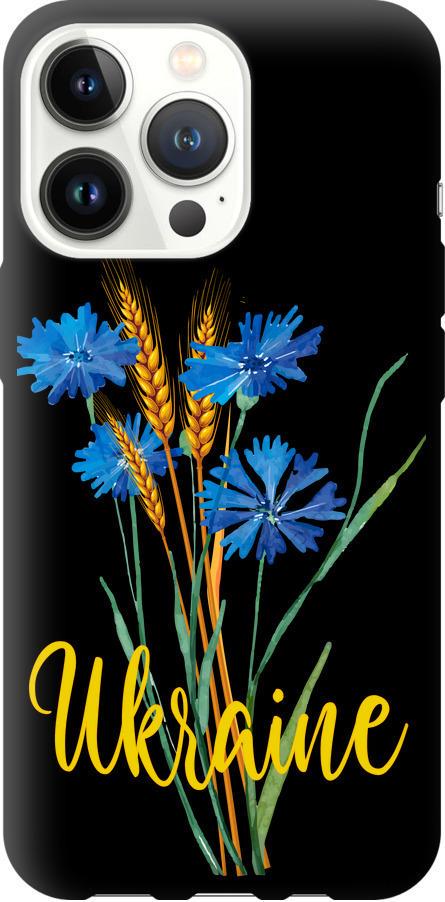 Чехол на iPhone 13 Pro Ukraine v2 (5445b-2372-42517)