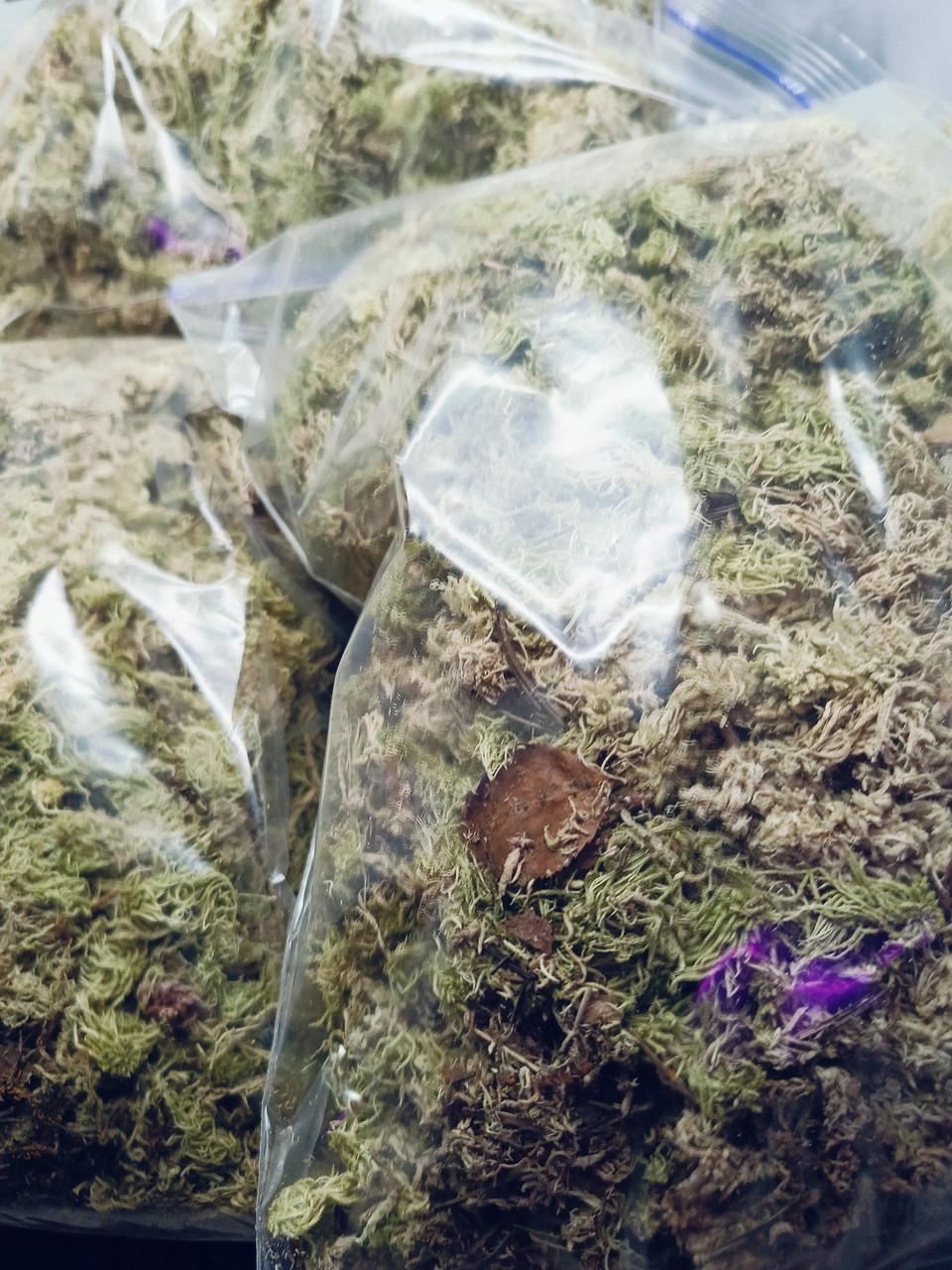 Мох сфагнум сухой 3 л (2438984699) - фото 2 Мох сфагнум сухой 3 л (2438984699) - фото 2