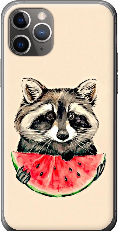 Чехол на iPhone 11 Pro Max Енотик с арбузом (4605t-1723-42517)