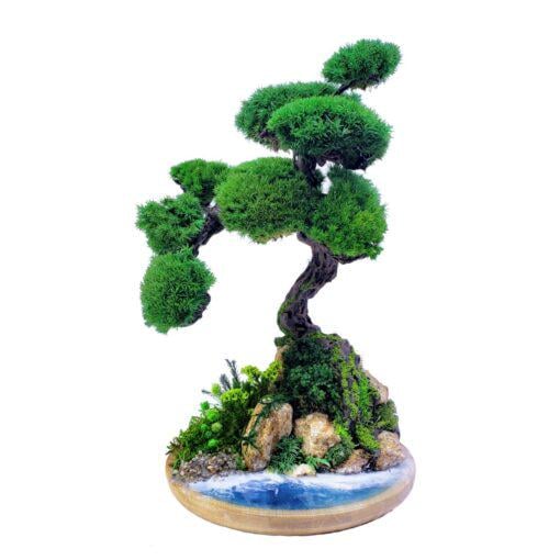 Композиция со стабилизированными растениями Бонсай у водоема 29х20 см