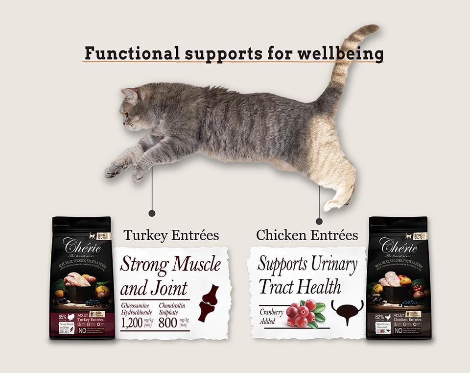 Корм сухий Cherie Dry Food Strong Muscle&Joint Turkey Entrees для котів з індичкою 400 г (602214) - фото 8