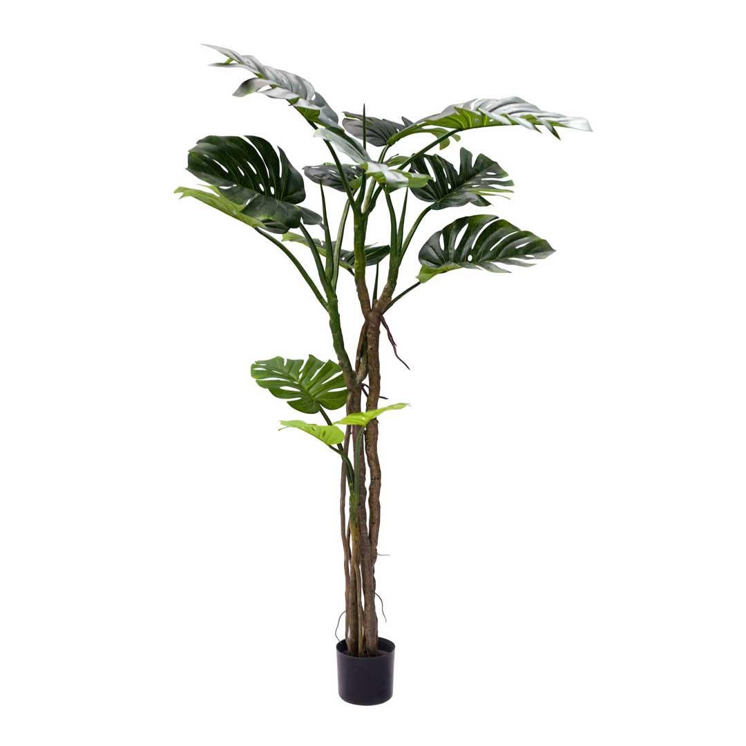 Искусственное растение Engard Monstera 180 см (TW-05) Искусственное растение Engard Monstera 180 см (TW-05)
