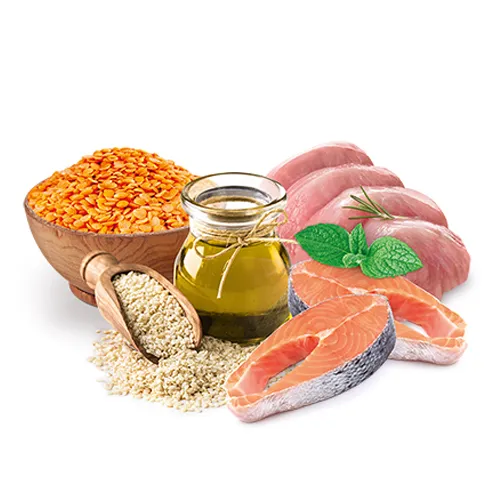 Корм сухой Home Food Healthy Skin And Shiny Coat Индейка и лосось 200 г (11586861) - фото 2 Корм сухой Home Food Healthy Skin And Shiny Coat Индейка и лосось 200 г (11586861) - фото 2