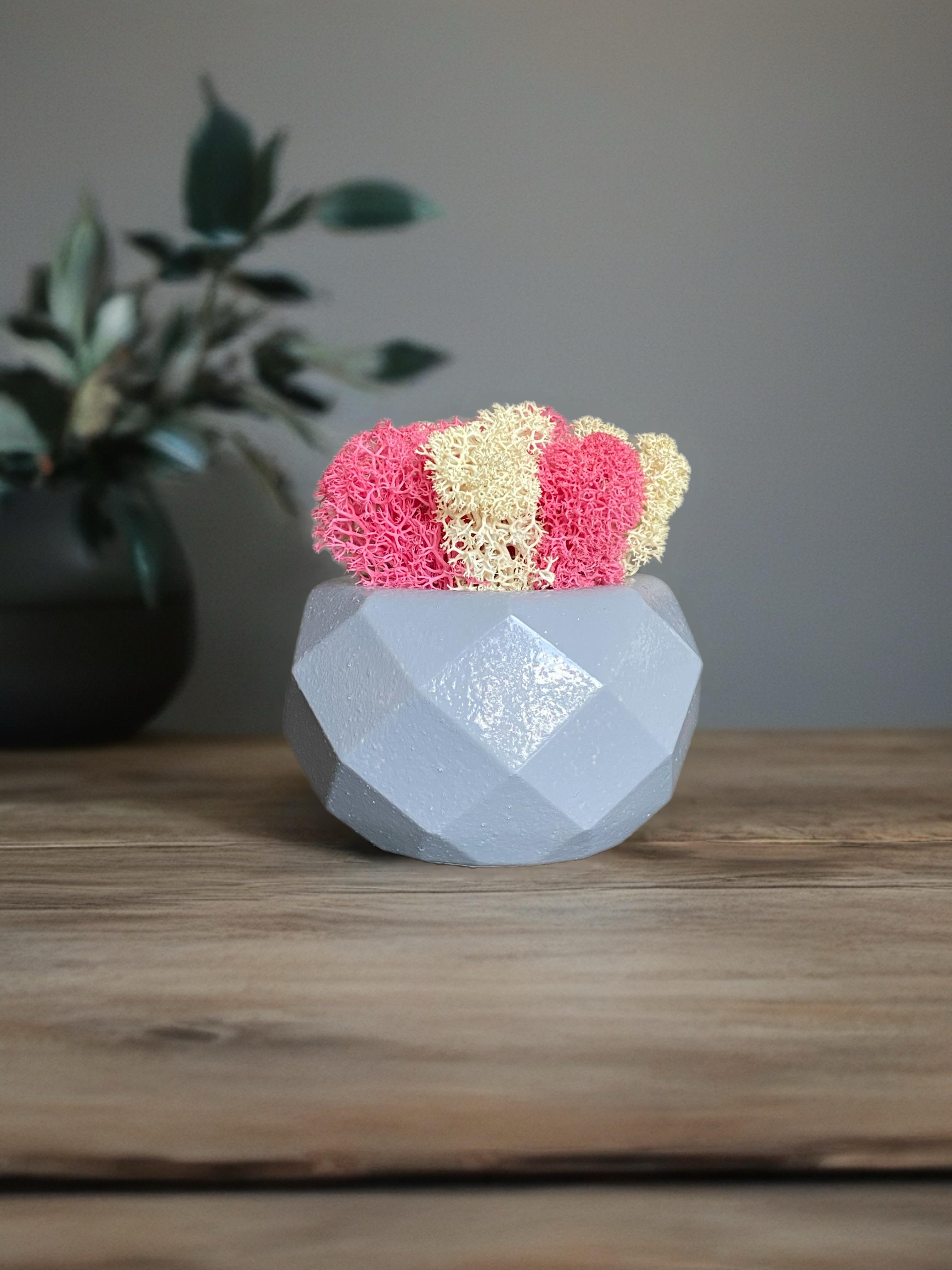 Кашпо с мхом гипсовое (32645139)