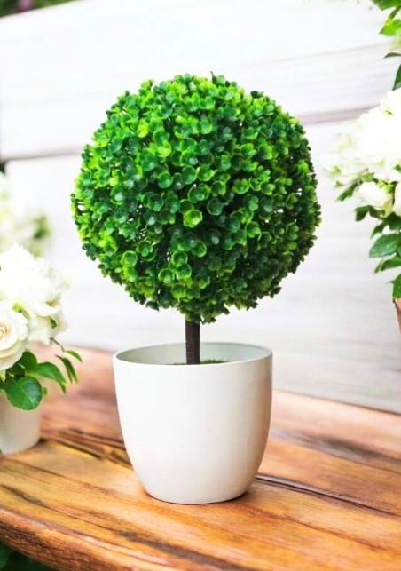 Штучна квітка Сашміт в горщику 26x15 см Зелений (2741458815)