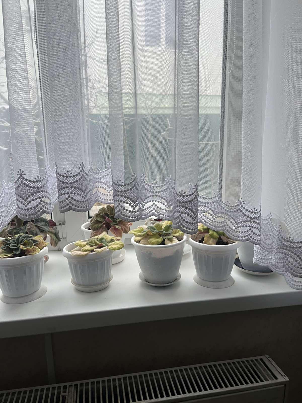 Тюль аркою грек сітка з купоном 5х1, 65 м Білий - фото 3