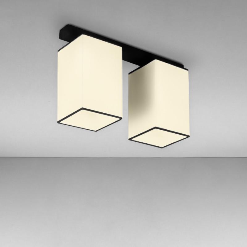 Люстра потолочная Light House NM-14547/2 BK WT на две лампы Черный