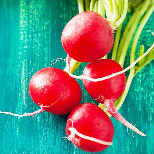 Семена Редис Florium Сміття пакет гігант (14942)