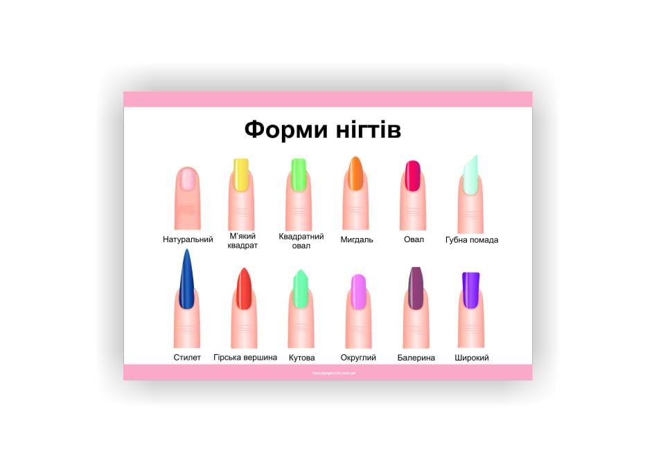 Плакат Vivay Формы ногтей 30х40 см (25634252)